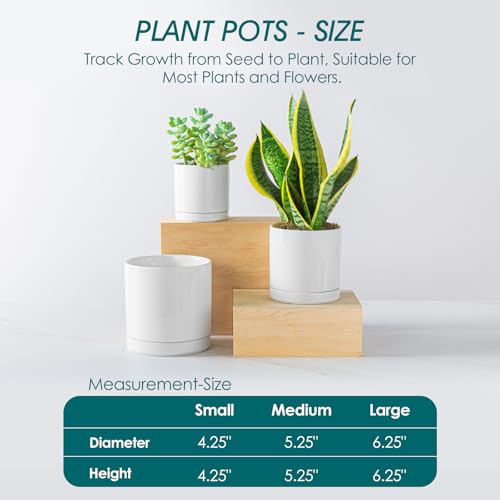 vancasso Ceramic Plant Pots, 3 Piece Planters for Indoor Plants, White - color: White, size: 4.25 + 5.25 + 6.25 Inch