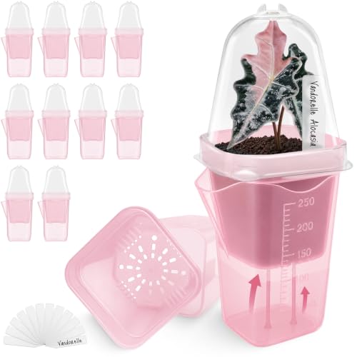 12 Pack 2.5" Small Pink Self Watering Pot with Humidity Dome for Indoor Plant,Clear Seed Starter Cup,Tissue Culture Acclimation Kit,Alocasia Corm Propagation,African Violet,Cutting,Seedling - color: Frosted Pink, size: 2.5"