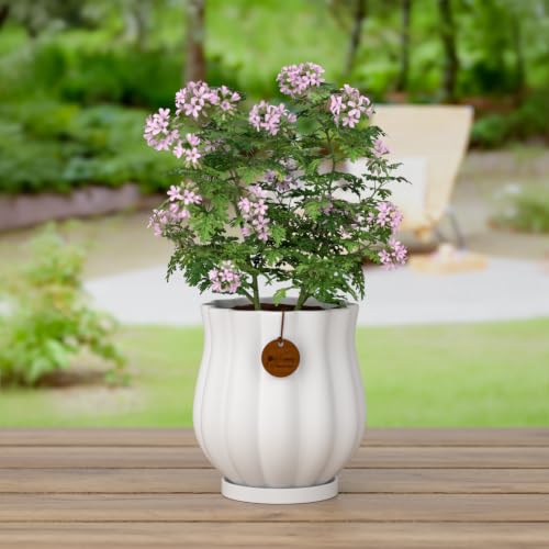 7.1" Matte White Ceramic Plant Pot with Saucer - color: Matte White, size: Large