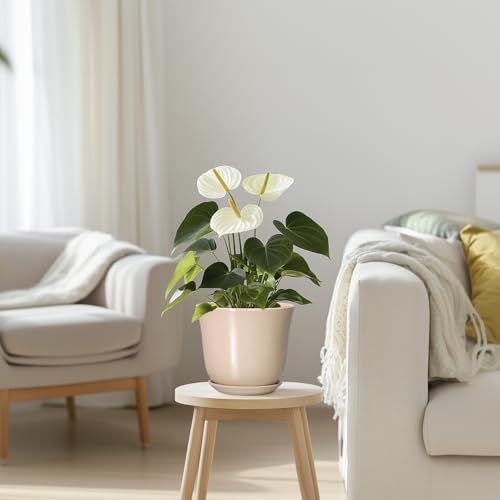 Ceramic Pots for Plants, 5.6 Inch Plant Pot with Drainage, Beige - color: Beige, size: 6 Inch