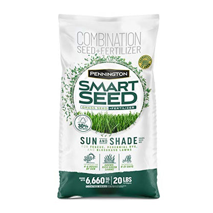 Pennington Smart Seed Sun and Shade Mix North Grass Seed, 20 lb - size: 20 lb