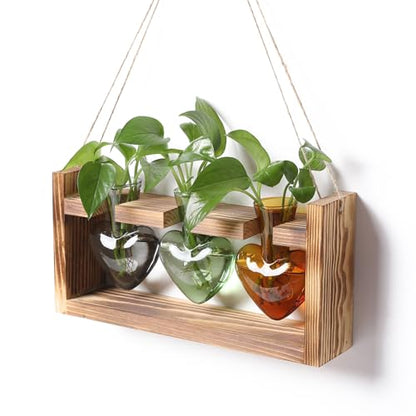 Plant Terrarium Propagation Stations Hydroponics - color: Color 4