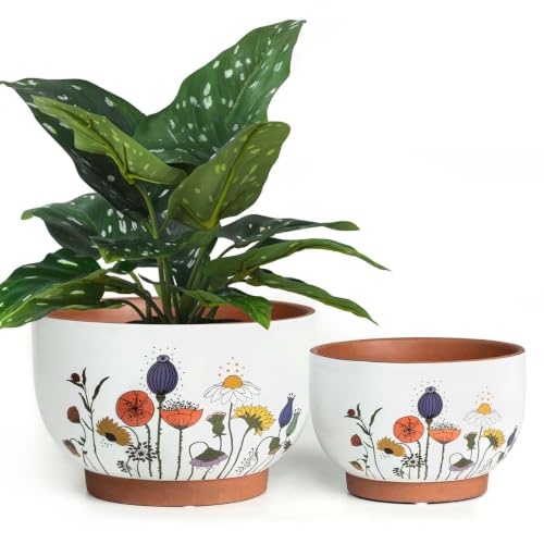 Terracotta Pots, 8+6 Inch Plant Pots, 2 Pcs with Drainage Holes - color: French Country, size: 8+6 Inch