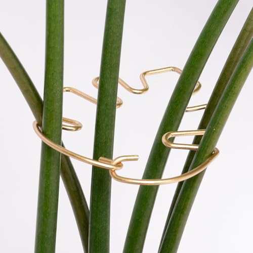 5PCS 4.13*2.95in Monstera Stem Support-Keep Plants Healthy&Upright - size: 4.13 x 2.95 inches