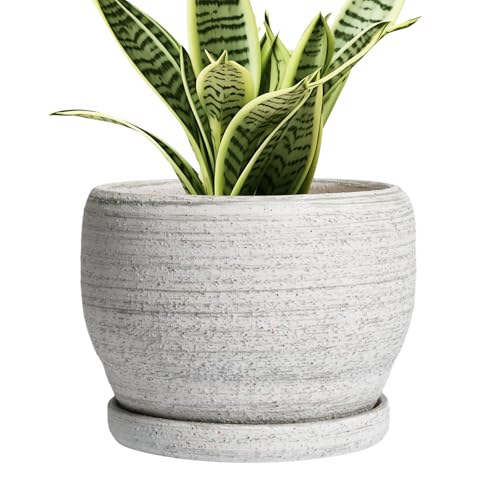 SQOWL Ceramic Planters for Indoor Plants - 6 Inch Plant Pot with Drainage Hole and Saucer, Small Ceramic Flower Pot, Round Decorative Planter Outdoor, Living Room Decor, Garden Gifts for Women, Gray - color: Brushed Gray, size: 6 Inch