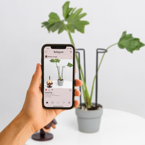 10Pcs Monstera Plant Support - 12" Durable Iron U-Shaped Trellis Stakes - color: Black, size: 12 Inch H