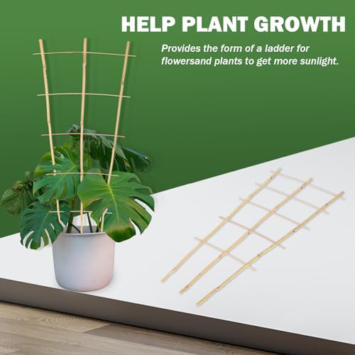 Jollybower 3PCS Fan-Shaped Bamboo Trellis, 2Ft Plant Trellis Indoor, Small Trellis for Potted Plants Indoor, Climbing Plants, Vegetables - size: Fan-Shaped 2Ft