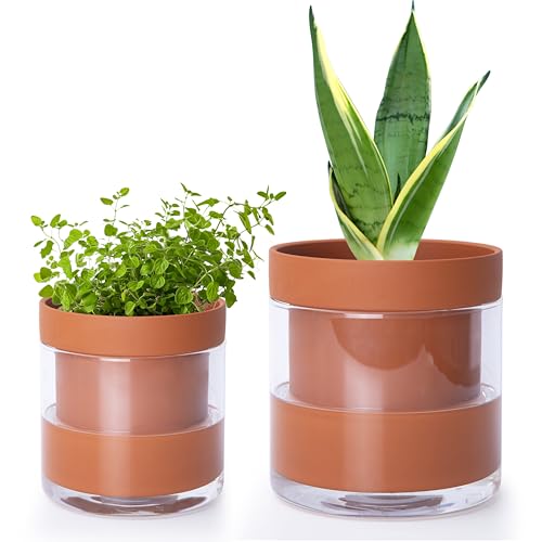 Phoenix Vine 4 Inch 6 Inch Self Watering Planter Pots, Terracotta Clay Pots with Glass Reservoir for Indoor Plants, Herbs, Flowers, 52-A-G-46 - color: Terracotta, size: 4+6 Inch
