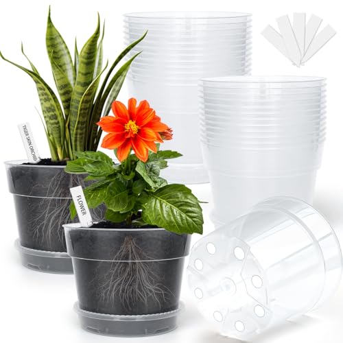 BTPLASTIK Clear Plastic Nursery Pots for Plants, 6 Inch Transparent Plant Pot with Drainage Holes, Flower Pots with Saucers, Seed Starter Pots with 15 Pcs Plant Labels, Gardening Gifts - size: 6 Inch-15P