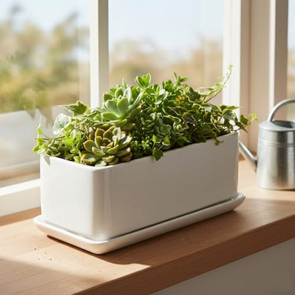 MyGift 10 Inch Modern Unglazed White Ceramic Indoor Plant Pot with Drainage Hole, Rectangular Succulent Planter Window Box with Removable Saucer, 1 Pack - size: 10 inch - 1 Pack