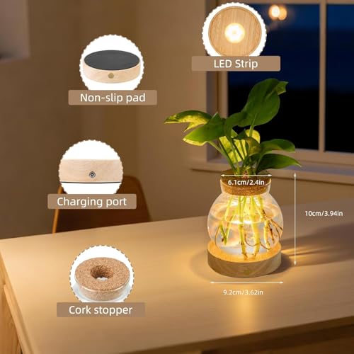 Plant Propagation Station with Light,Everkeen Glass Terrarium with Stepless Dimming Function Hydroponic Glass Container Vase Jars Gardening Gifts for Mom Women Plant Lovers 4 Pack - color: Clear 4 Pack