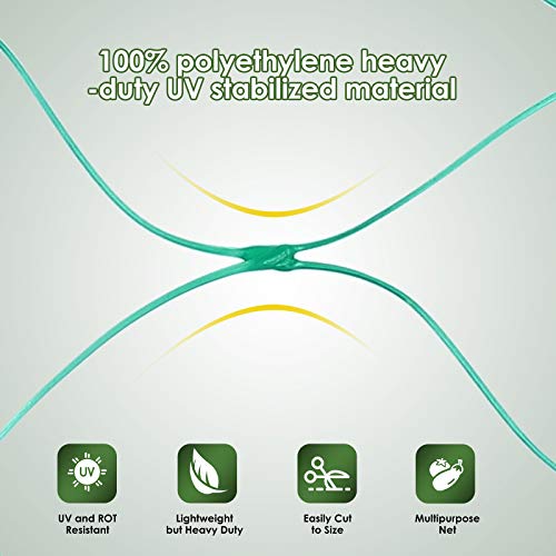 13X130FTRuolan Bird Netting for Garden Protect Vegetable Plants and Fruit Trees,Plastic Trellis Netting for Birds, Deer,Squirrels and Other Animals (13X130), Green - size: 13X130
