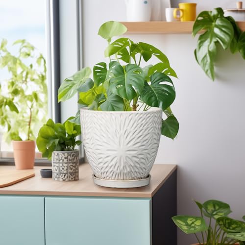 G EPGardening 8 Inch Ceramic Plant Pot with Drainage Hole and Saucer, White