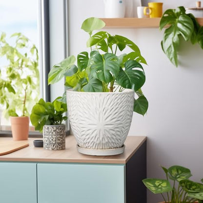 G EPGardening 8 Inch Ceramic Plant Pot with Drainage Hole and Saucer, White