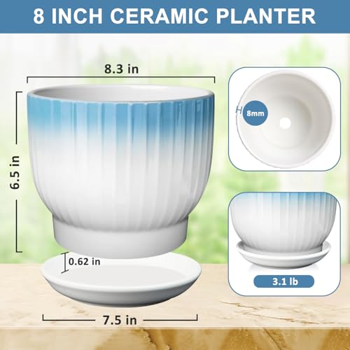 8 Inch Ceramic Plant Pot, Blue + White - color: Blue + White, size: 8 Inch(1 PCS)