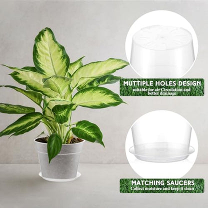 Baderke 3 Pack Clear Nursery Pot,13.65 Inch - size: 13.65 Inches
