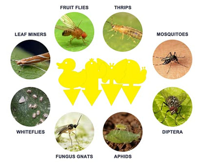 Gideal 48-Pack Dual-Sided Yellow Sticky Traps for Indoor/Outdoor Use, Gnat Trap for Flying Plant Insect Such as Fungus Gnats, Whiteflies, Aphids, Fruit Fly, Leafminers, etc - Cute Shapes - size: 48 Pack