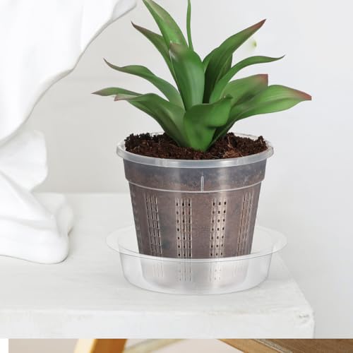 DECHOUS Plant Saucers, 60 Pack 6 Inch Clear PET Trays