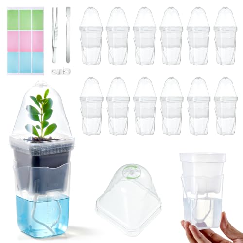 12 Pcs Clear Small Self Watering Pots for Indoor Plants