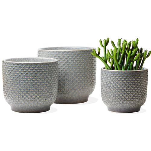 4 + 5 + 6 Inch Ceramic Pots for Indoor Plants, Succulents Plant Pots, Orchid Flower Pot with Drainage Hole, Modern Clay Stoneware Planters, Set of 3 (Reactive Glaze Grey Blue, 4 + 5 + 6 Inch） - color: Reactive Glaze Grey Blue