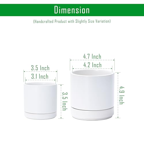D'vine Dev 2-Pack Ceramic Pots & Saucers, White, 3.5/4.7 in, 94-G-XS-1 - color: White, size: X-Small