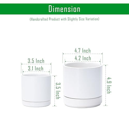 D'vine Dev 2-Pack Ceramic Pots & Saucers, White, 3.5/4.7 in, 94-G-XS-1 - color: White, size: X-Small