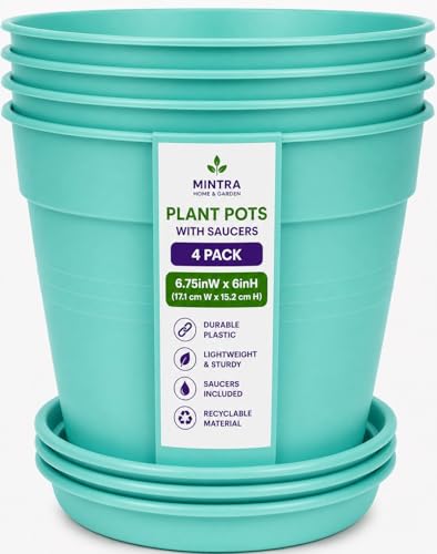 Mintra Garden Pots, 4 Pack Bulk Plastic Plant Pots with Drainage Tray, Round Indoor & Outdoor Decorative Planters with Drain Holes for Flowers, Herbs & Plants, 17cm Diameter – Teal, 6.6 in - color: Teal, size: 17cm Diameter (6.6in)