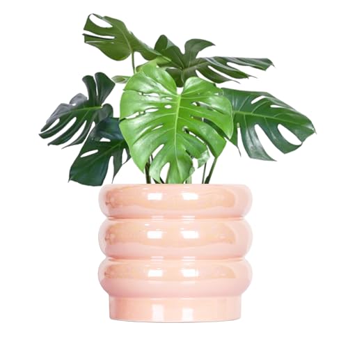 8 Inch Ceramic Plant Pot with Drainage, Planter for Indoor Plants - color: Pink, size: 8 Inch (Single)