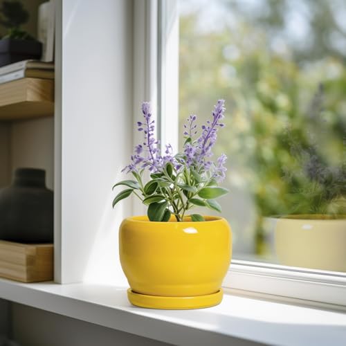SQOWL 6 Inch Plant Pot - Ceramic Planter with Drainage Hole and Saucer, Modern Ceramic Flower Pots for Indoor Plants Outdoor, Round Decorative Small Planter, Desk Decor, Garden Gifts, Yellow - color: Yellow, size: 6 Inch