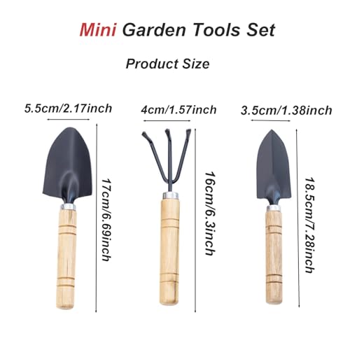 3 Pcs Mini Garden Tools Set Small Tiny Shovel Trowel and Hand Rake with Solid Wood Handle Indoor Gardening Tools for Pot Plants Succulent Bonsai - style: 3PCS Mini Black