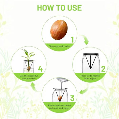 4Pcs Avocado Seed Starter vase Holders That can be Used as Propagation Kits for Plant Propagation vases, not only for Avocados but Also for Other Similar Plants (Carrots, Sweet Potatoes, etc)