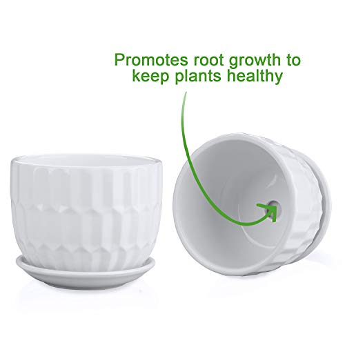 Flower Pots, 4 Inch Cylinder Ceramic Plant Pots with Connected Saucer, Mini Ceramic Planters for Succulent and Little Snake Plants (6 Pack, White)