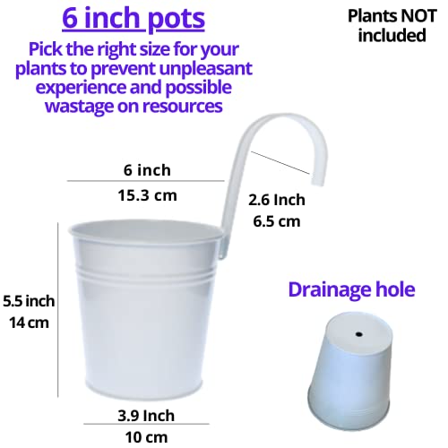 LaLaGreen Rail Planter (6 in, 10 Pack) White Metal Iron Railing Pots - size: 6 Inch (White)