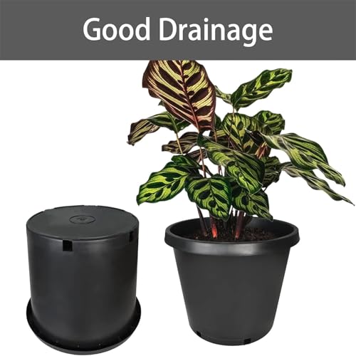 15 Gallon Nursery Pot 10-Pack Plastic Garden Planter Pots - size: Standard 15 Gallon