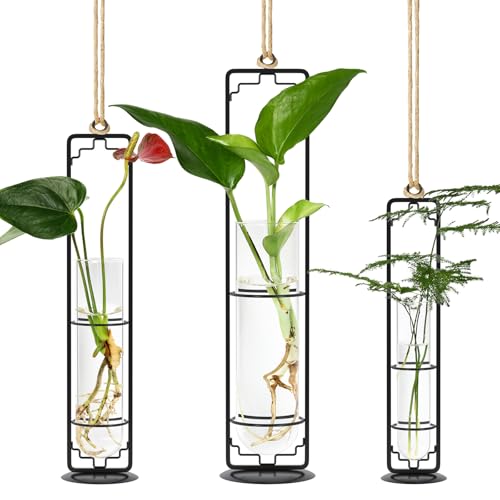 MIPON Metal Hanging Plant Propagation Station,3 Size Glass Test Tube Hydroponic Planter,Boho Wall Hanging Plant Cuttings Holder,Indoor Water Plant Terrarium Tubes for Home Office Window Decor-Black - color: Black