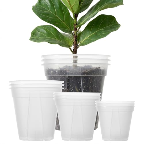 Large Clear Nursery Pot with Drainage Holes 7/8/10/12 inch,12pack - size: 7/8/9.5/12inch without trays