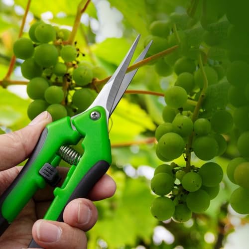 Pruning Shears for Gardening, Ultra Sharp Garden Scissors for Precise Cuts, Stainless Steel Bonsai Clippers with Spring Loaded, 6.5 Inch Garden Shears with Straight Stainless Steel Precision Blades - color: Green&black