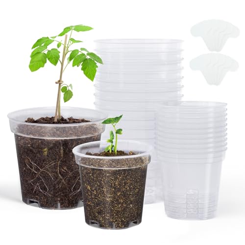 homenote 3/4 Inch Clear Nursery Pots with Drainage Holes and Tags (20 Pcs) - color: Transparency-no Lid, size: 3/4 Inch-20 Pack