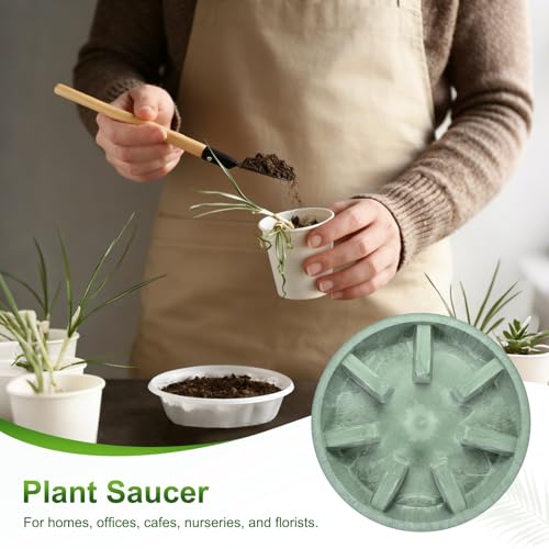 M METERXITY 2-Pack Plant Saucer, 10.04 Inch/25.5 cm Plastic Plant Trays Thicker for Pots/Indoor/Outdoor/Water Drainage and Protection, Flowerpot Drip Tray [Green Veins] - color: Green Veins