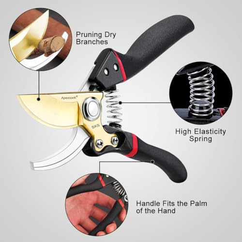 Gardening shears for pruning garden shrubs and harvesting flowers, fruit - style: Japanese Garden Pruning Shears