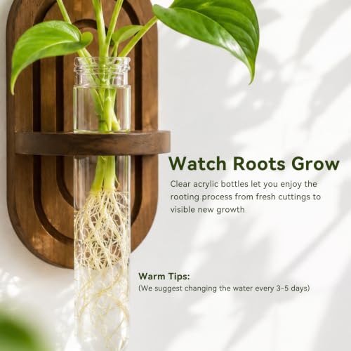Artilady Plant Propagation Station Wall Hanging, Thick Wood Terrarium Tube - color: Oval B
