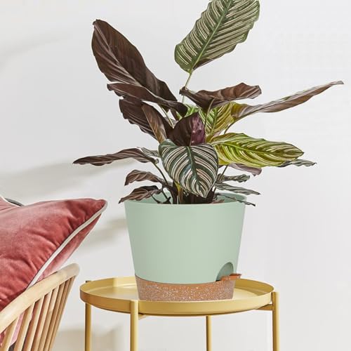 SwinDuck 12inch Large Self Watering Plant Pot, Plastic Cylinder Planter with 60Oz Deep Reservoir and Saucer for Indoor Outdoor Plants Flowers Houseplants, Green with Brown - color: Green With Brown