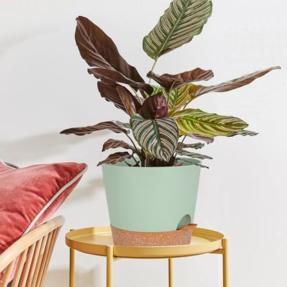 SwinDuck 12inch Large Self Watering Plant Pot, Plastic Cylinder Planter with 60Oz Deep Reservoir and Saucer for Indoor Outdoor Plants Flowers Houseplants, Green with Brown - color: Green With Brown