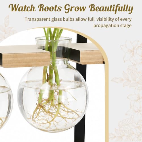 3-Bulb Plant Propagation Station, Glass Vase Terrarium, Retro White - color: White