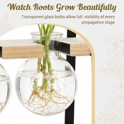 3-Bulb Plant Propagation Station, Glass Vase Terrarium, Retro White - color: White