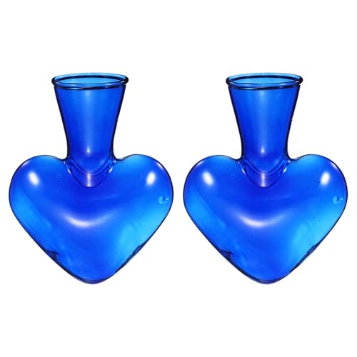 M METERXITY 2-Pack Propagation Vases, Heart-Shaped Glass Propagation Stations for Indoor Plants/Desktop Decor/Home Garden, Plants Terrariums Hydroponic Vases [Blue] - color: Blue