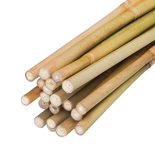 Natural Bamboo Plant Stake（7FT 15Pcs 3/4"） Sturdy Bamboo Poles, Durable Plant Bamboo Stake, Garden Climbing Plant Bracket. - size: 7ft-15PCS