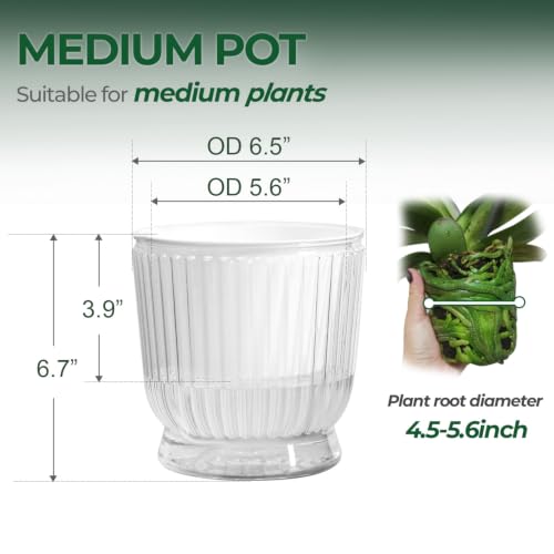 T4U Self Watering Pots for Indoor Plants 6 Inch 4 Pack Planter Clear - color: Clear, size: 6 Inch