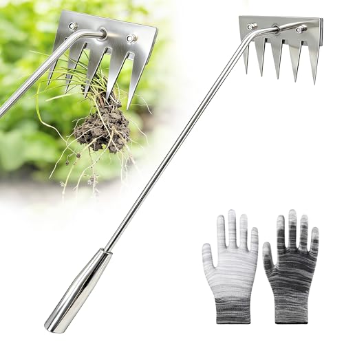 Weed Puller Tool - 2026 Portable Manual Weeding Tools Gardening, 5 Teeth Head Stainless Steel Hand Garden Weeding Rake, Weed Remover Tool for Vegetable Gardening Yard Backyard Farm Planting & Weeding - color: Silver-1pcs