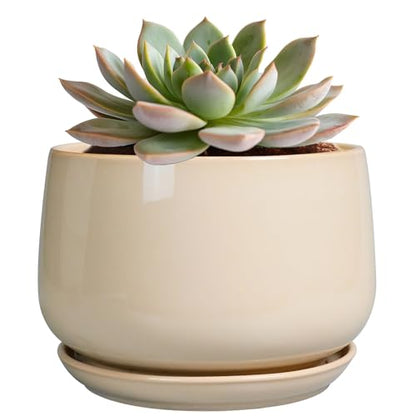 G EPGardening Ceramic Pot for Plants, 6 Inch Planter with Drainage, Beige - color: Beige, size: 5 Inch